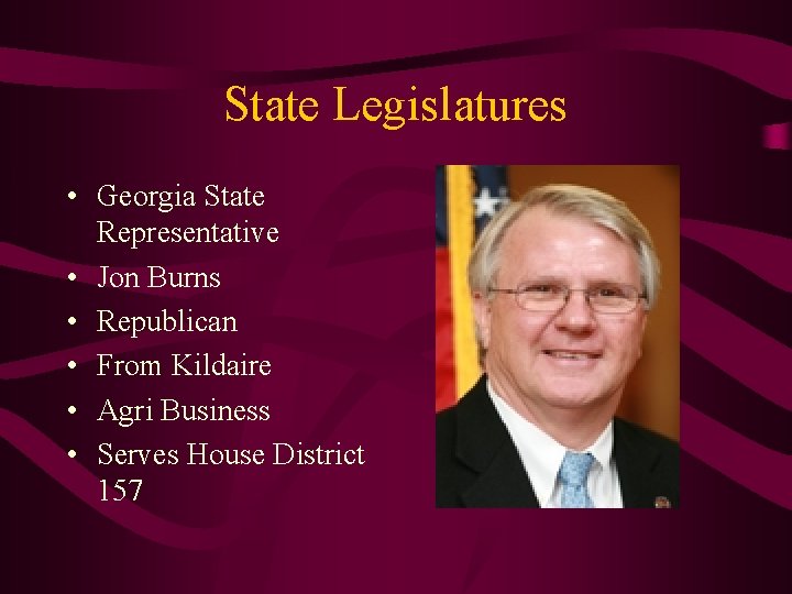 State Legislatures • Georgia State Representative • Jon Burns • Republican • From Kildaire