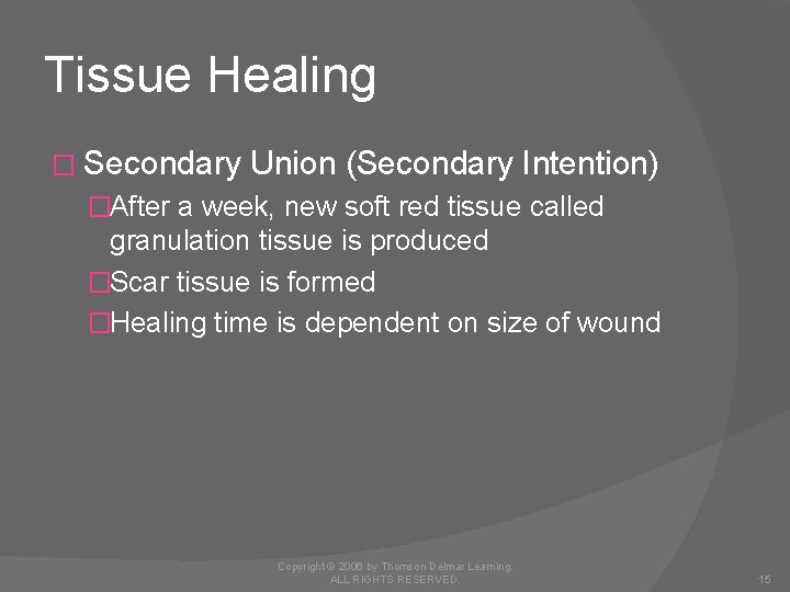 Tissue Healing � Secondary Union (Secondary Intention) �After a week, new soft red tissue
