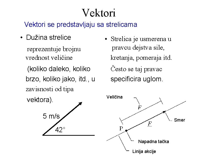 Vektori se predstavljaju sa strelicama • Dužina strelice reprezentuje brojnu vrednost veličine (koliko daleko,