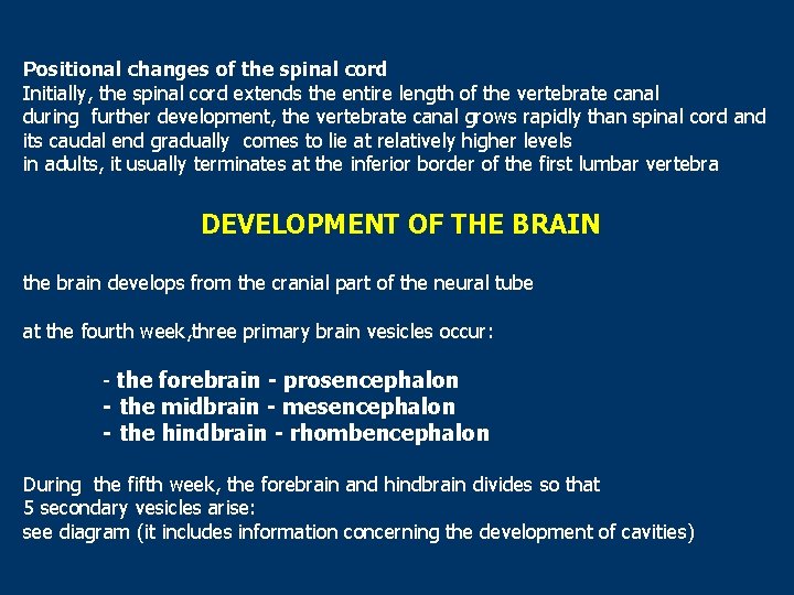 Positional changes of the spinal cord Initially, the spinal cord extends the entire length