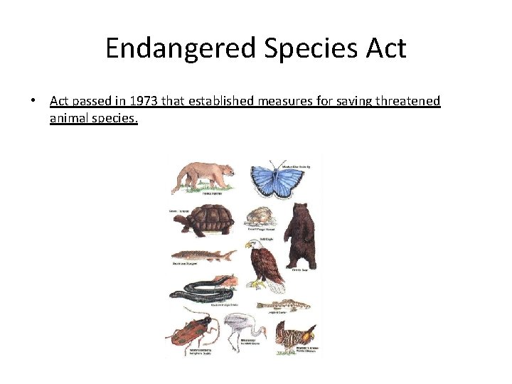 Endangered Species Act • Act passed in 1973 that established measures for saving threatened
