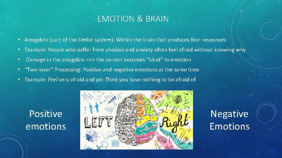 EMOTION & BRAIN • Amygdala (part of the Limbic system): Within the brain that