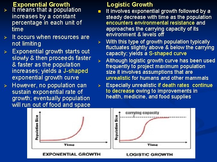 Ø Ø Exponential Growth It means that a population increases by a constant percentage