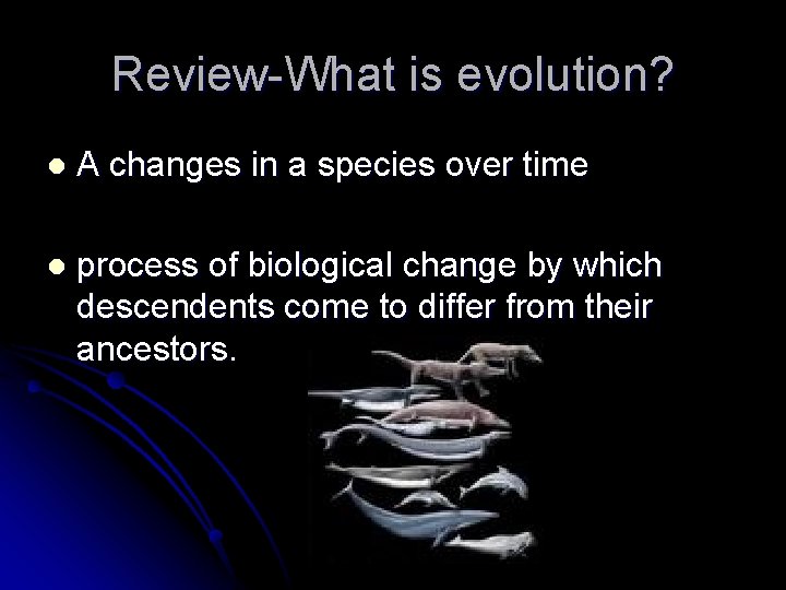 Review-What is evolution? l A changes in a species over time l process of Review-What is evolution? l A changes in a species over time l process of