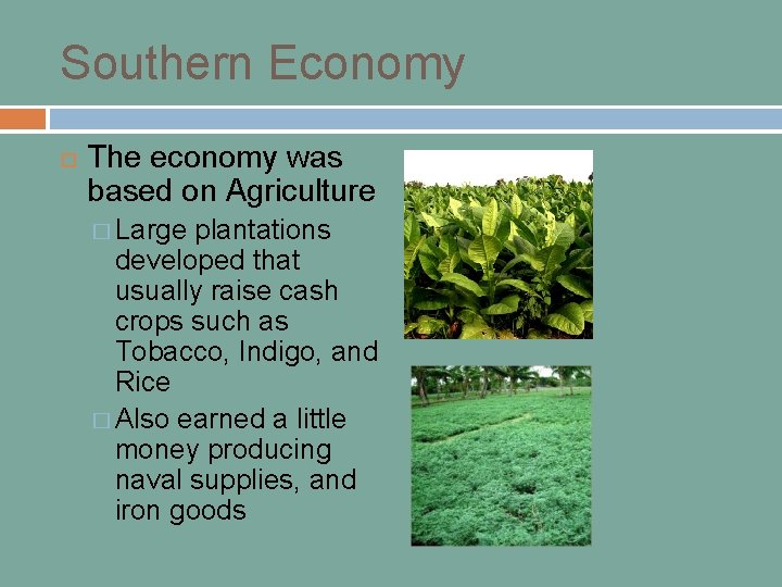 Southern Economy The economy was based on Agriculture � Large plantations developed that usually