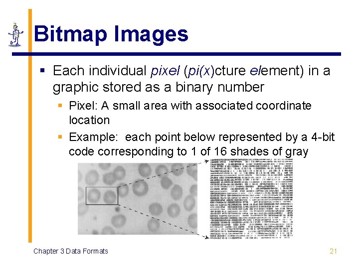 Bitmap Images § Each individual pixel (pi(x)cture element) in a graphic stored as a