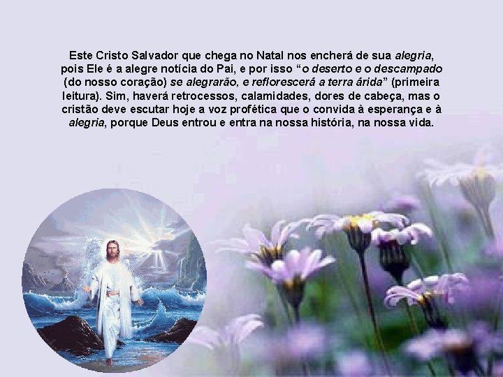 Este Cristo Salvador que chega no Natal nos encherá de sua alegria, pois Ele