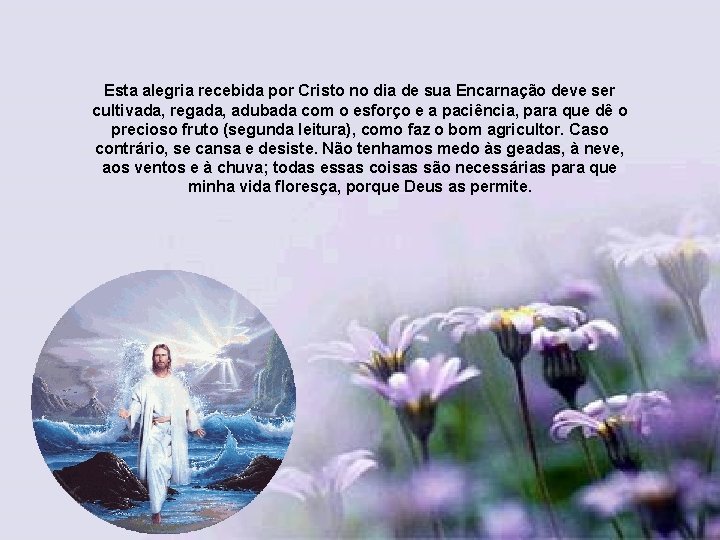 Esta alegria recebida por Cristo no dia de sua Encarnação deve ser cultivada, regada,