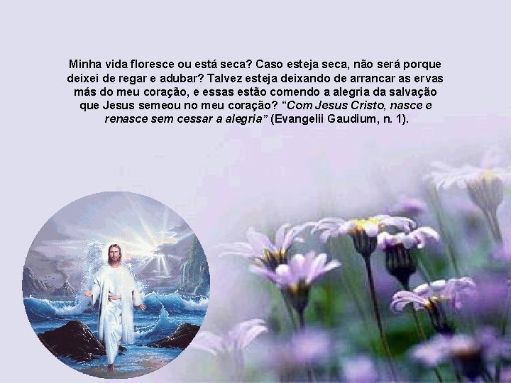 Minha vida floresce ou está seca? Caso esteja seca, não será porque deixei de