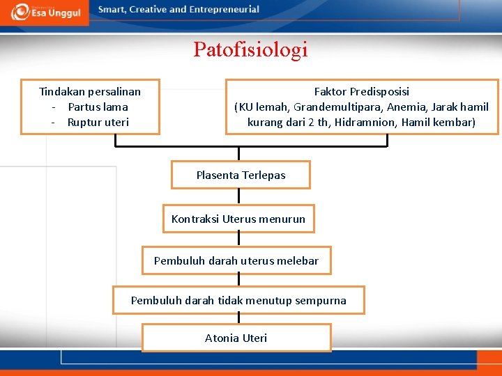Patofisiologi Tindakan persalinan - Partus lama - Ruptur uteri Faktor Predisposisi (KU lemah, Grandemultipara,