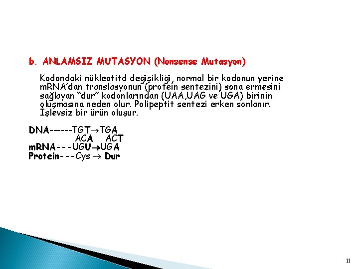 b. ANLAMSIZ MUTASYON (Nonsense Mutasyon) Kodondaki nükleotitd değişikliği, normal bir kodonun yerine m. RNA’dan