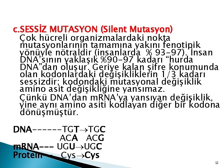 c. SESSİZ MUTASYON (Silent Mutasyon) Çok hücreli organizmalardaki nokta mutasyonlarının tamamına yakını fenotipik yönüyle
