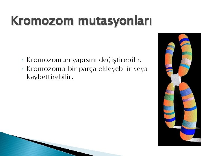 Kromozom mutasyonları ◦ Kromozomun yapısını değiştirebilir. ◦ Kromozoma bir parça ekleyebilir veya kaybettirebilir. 