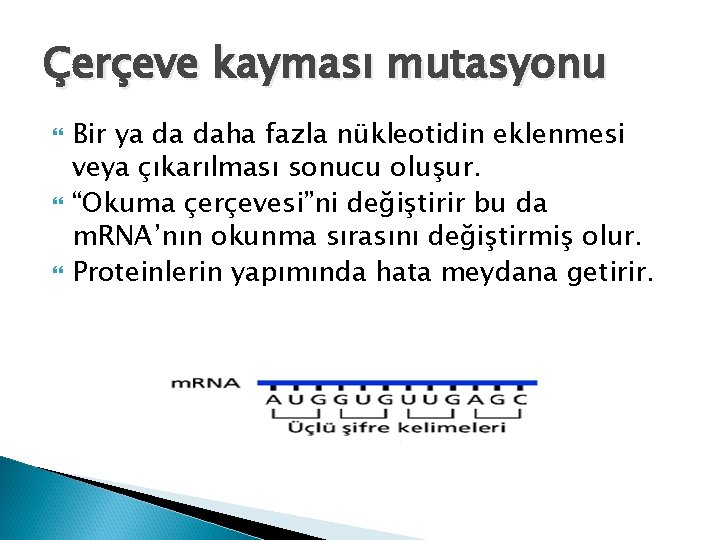 Çerçeve kayması mutasyonu Bir ya da daha fazla nükleotidin eklenmesi veya çıkarılması sonucu oluşur.