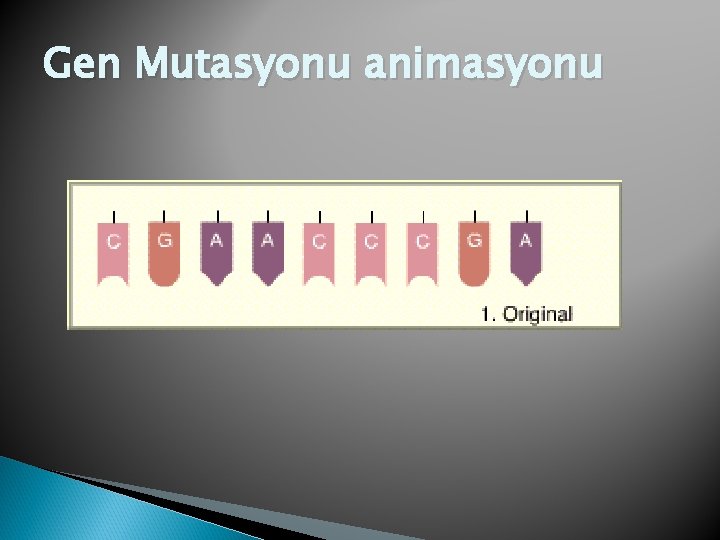 Gen Mutasyonu animasyonu 