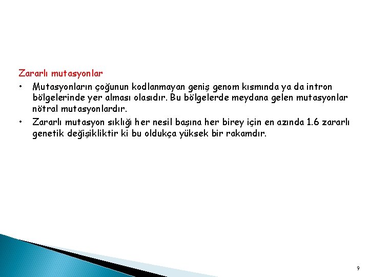 Zararlı mutasyonlar • Mutasyonların çoğunun kodlanmayan geniş genom kısmında ya da intron bölgelerinde yer