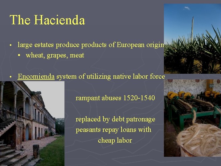The Hacienda • large estates produce products of European origin • wheat, grapes, meat The Hacienda • large estates produce products of European origin • wheat, grapes, meat