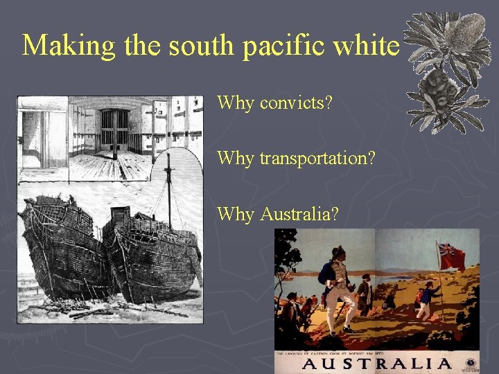 Making the south pacific white Why convicts? Why transportation? Why Australia? 