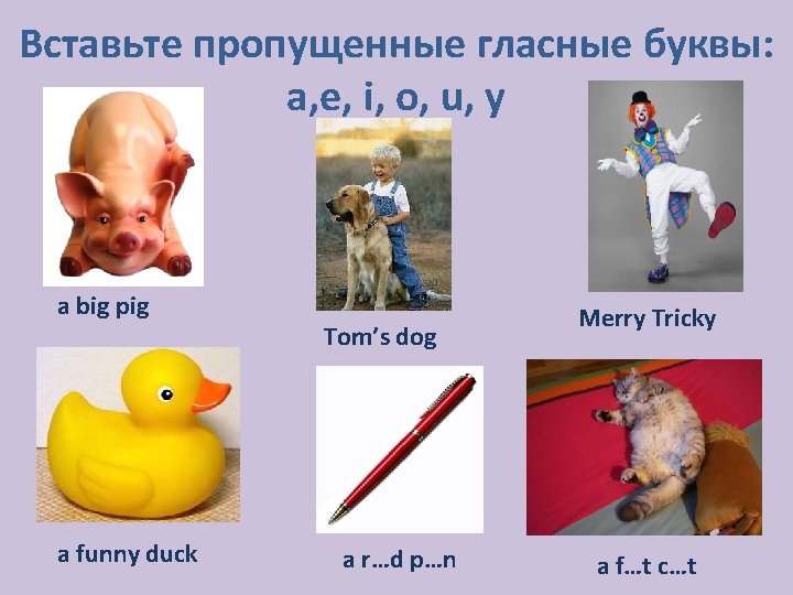 Вставьте пропущенные гласные буквы: a, e, i, o, u, y a big pig a