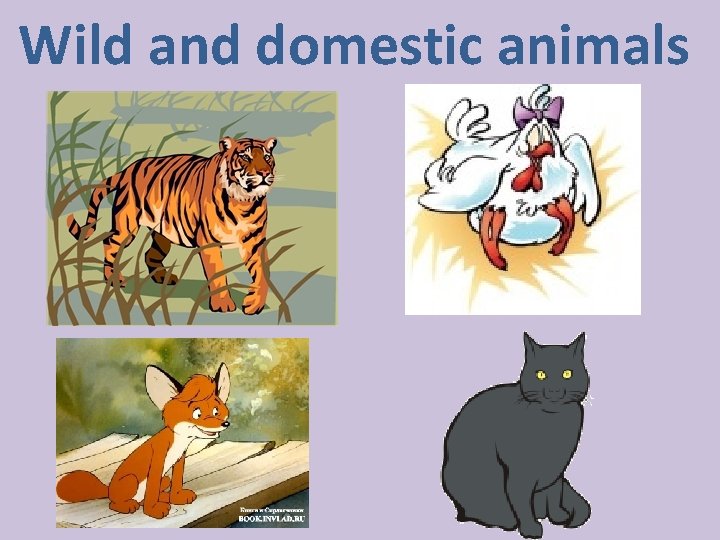 Wild and domestic animals 