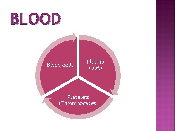 BLOOD Blood cells Plasma (55%) Platelets (Thrombocytes) 