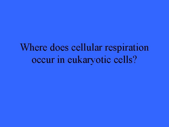 Where does cellular respiration occur in eukaryotic cells? 