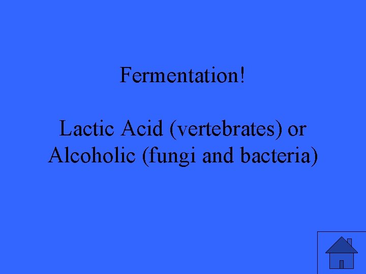 Fermentation! Lactic Acid (vertebrates) or Alcoholic (fungi and bacteria) 