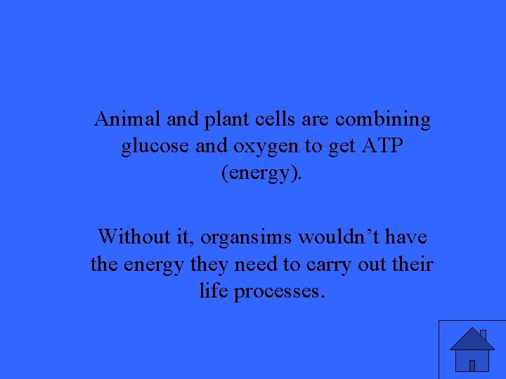 Animal and plant cells are combining glucose and oxygen to get ATP (energy). Without