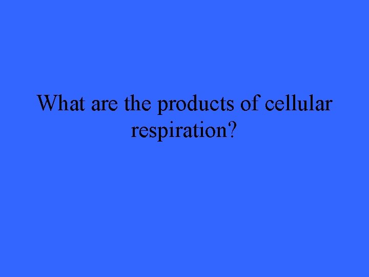 What are the products of cellular respiration? 