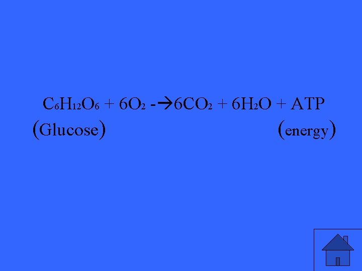 C 6 H 12 O 6 + 6 O 2 - 6 CO 2