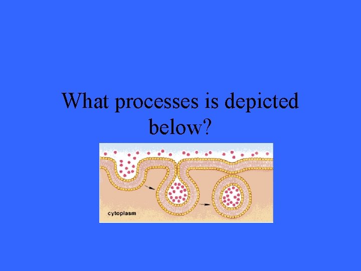 What processes is depicted below? 