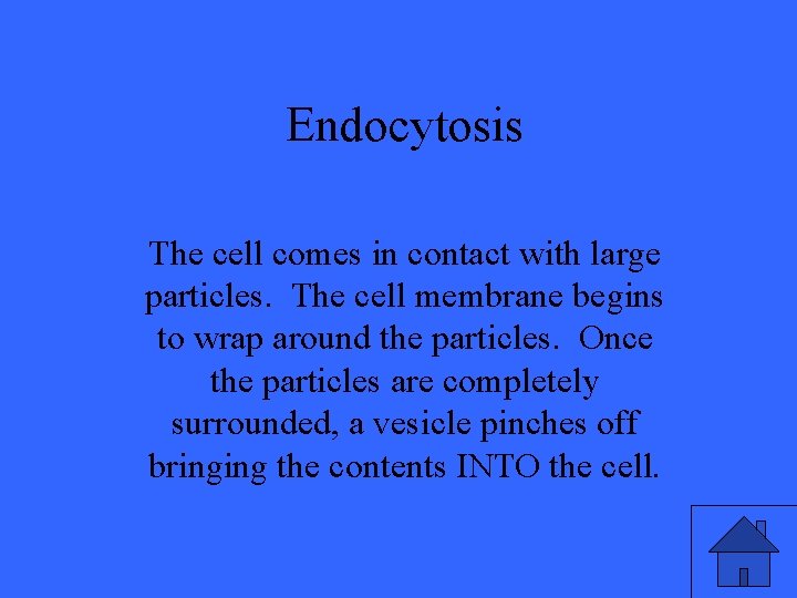 Endocytosis The cell comes in contact with large particles. The cell membrane begins to