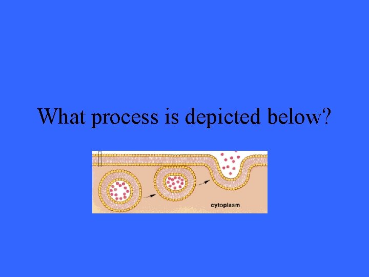 What process is depicted below? 