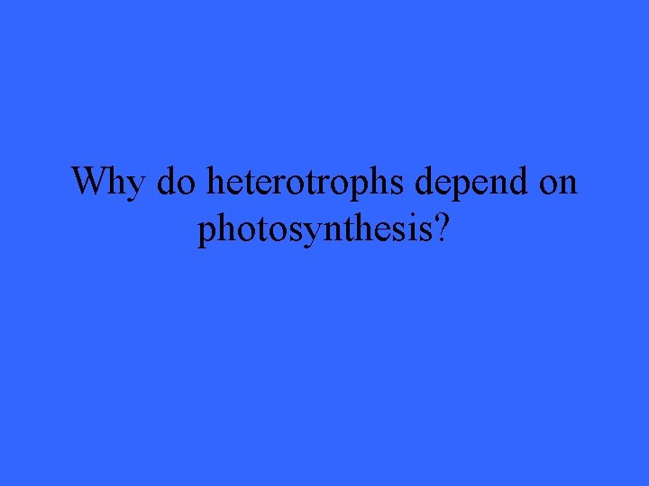 Why do heterotrophs depend on photosynthesis? 