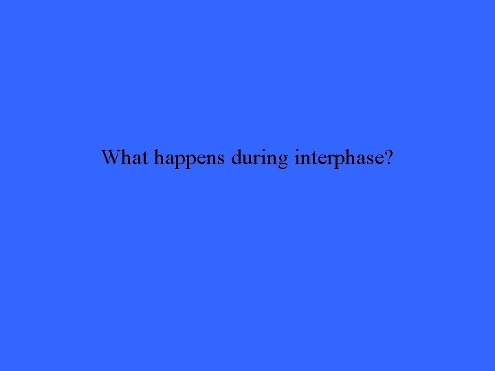 What happens during interphase? 