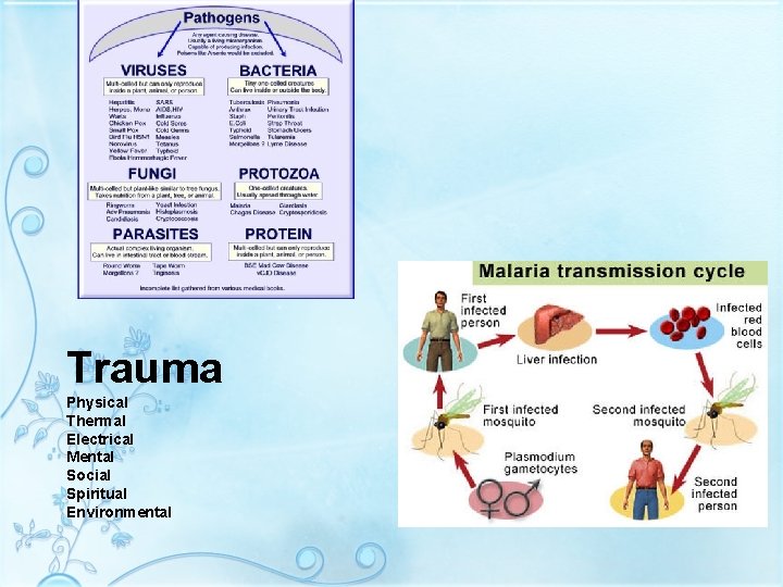 Trauma Physical Thermal Electrical Mental Social Spiritual Environmental 