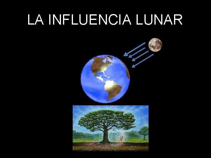 LA INFLUENCIA LUNAR 