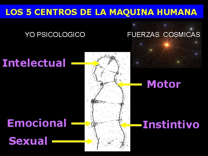 LOS 5 CENTROS DE LA MAQUINA HUMANA YO PSICOLOGICO FUERZAS COSMICAS Intelectual Motor Emocional