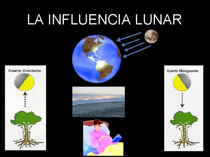 LA INFLUENCIA LUNAR 