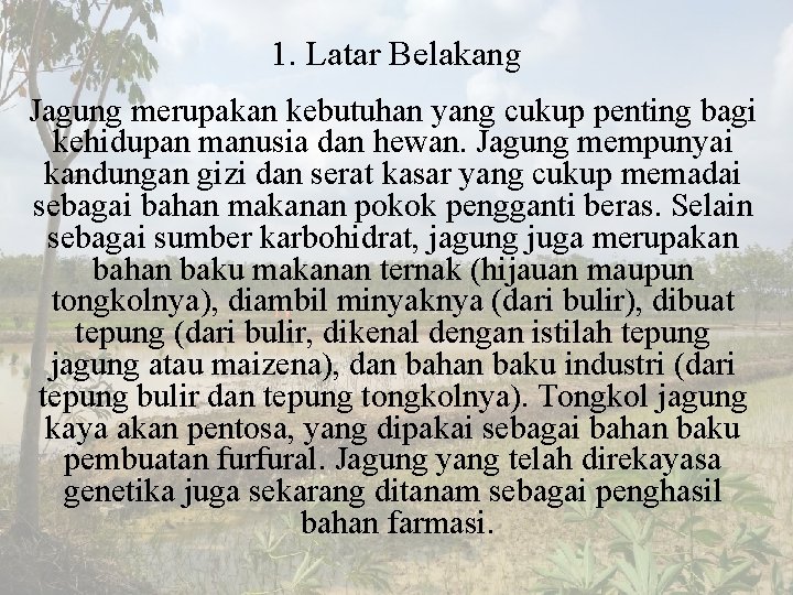 1. Latar Belakang Jagung merupakan kebutuhan yang cukup penting bagi kehidupan manusia dan hewan.