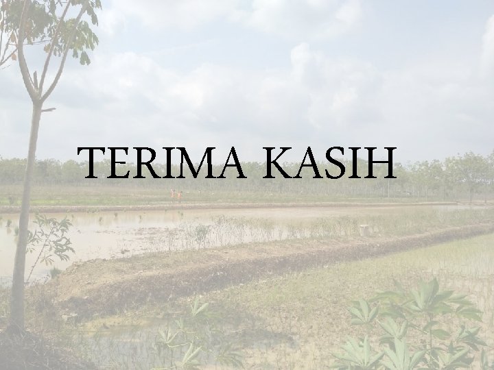 TERIMA KASIH 