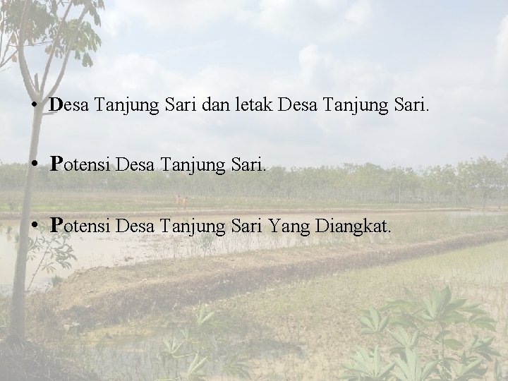  • Desa Tanjung Sari dan letak Desa Tanjung Sari. • Potensi Desa Tanjung