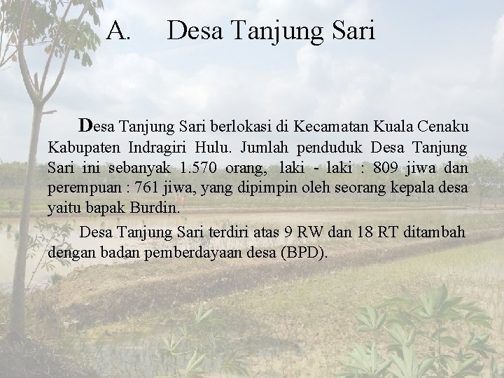 A. Desa Tanjung Sari berlokasi di Kecamatan Kuala Cenaku Kabupaten Indragiri Hulu. Jumlah penduduk