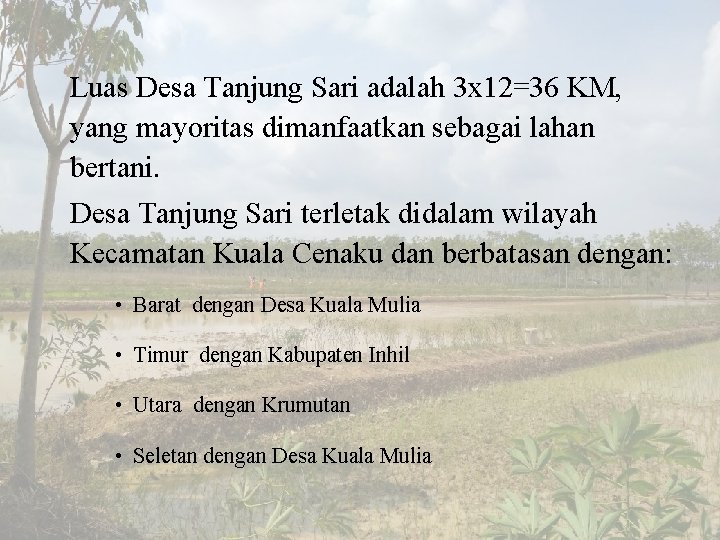 Luas Desa Tanjung Sari adalah 3 x 12=36 KM, yang mayoritas dimanfaatkan sebagai lahan