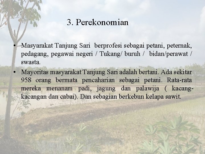 3. Perekonomian • Masyarakat Tanjung Sari berprofesi sebagai petani, peternak, pedagang, pegawai negeri /