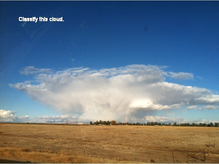 Classify this cloud. 