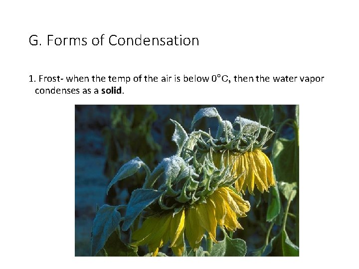 G. Forms of Condensation 1. Frost- when the temp of the air is below