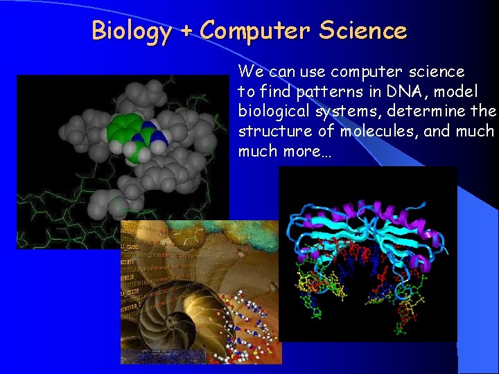 Biology + Computer Science We can use computer science to find patterns in DNA,