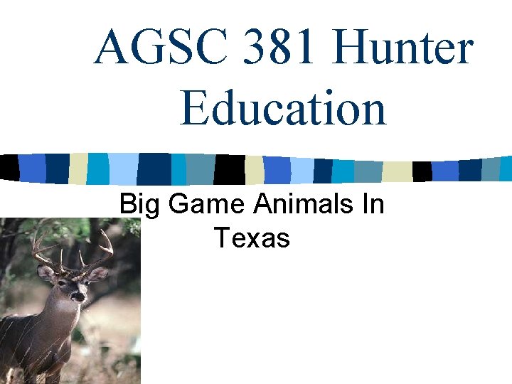 AGSC 381 Hunter Education Big Game Animals In Texas 