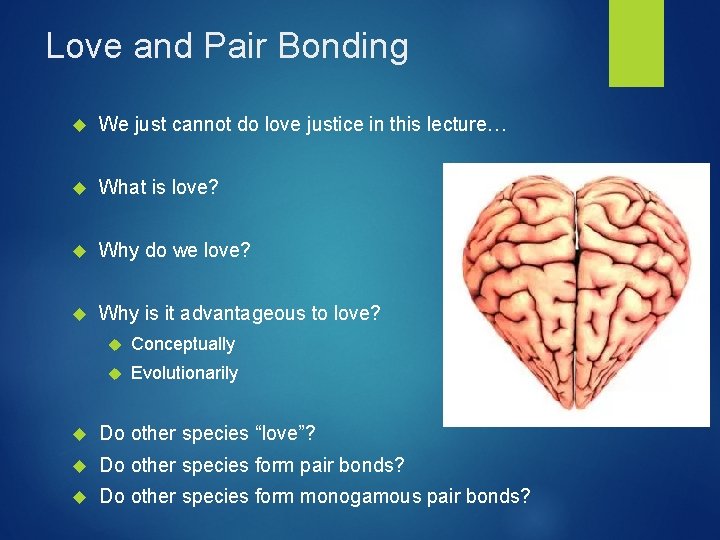 Love and Pair Bonding We just cannot do love justice in this lecture… What